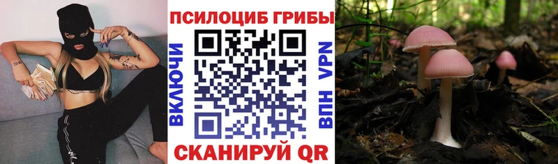 Псилоцибиновые грибы Magic Shrooms  Правдинск 